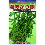 枝豆 湯あがり娘(中早生白毛)の種 小袋 野菜種子 豆類 枝豆 ( 野菜の種 )