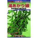 枝豆 湯あがり娘（中早生白毛）の種 小袋 野菜種子 豆類 枝豆 ( 野菜の種 )