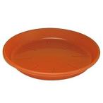 ����AP�֥饦�� 7��