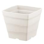 ����եȥ������� �ۥ磻�� 30��