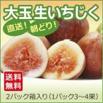  сырой инжир 2 упаковка в коробке префектура Аичи производство 