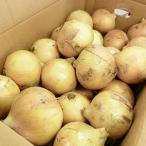  Awaji Island производство средний сырой лук репчатый 5Kg