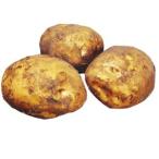 じゃがいも（馬鈴薯） 出島 種芋 種いも 1kg入り（予約販売） 春 秋植え