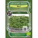  базилик вид иметь машина / greenfield / ростки / маленький пакет 