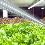 .. для LED свет 120cm полный spec ktoru25W [6 шт. комплект ]l Pro объект . внедрение большое количество! растения завод * гидропонная культура оптимальный l aqua poniks