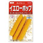 サカタのタネ ポップコーン イエローポップ 種  トウモロコシ  家庭菜園 とうもろこしのタネ たね 種子 夏野菜 メール便対応