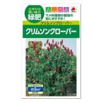 タキイ クリムソンクローバー  ディクシー 種 緑肥 景観用 花壇 たね タネ 種子 園芸 ガーデニング