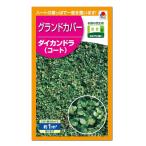 タキイ ダイカンドラ コート グランドカバー 種 緑肥 景観用 花壇 たね タネ 種子 園芸 ガーデニング