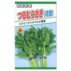 トーホク つるむらさき 青茎  種 家庭菜園 蔓紫 夏野菜 ツルムラサキ 種子 たね タネ メール便対応