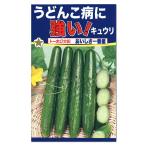 トーホク おいしさ一番星 きゅうり 種 枝成型 家庭菜園 胡瓜 キュウリのタネ たね 種子 野菜 支柱作り 地這作り 夏野菜