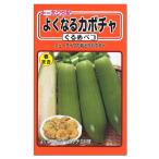 トーホク  よくなるカボチャ ぐるめペコ  種 家庭菜園 南瓜 種子 韓国かぼちゃ かぼちゃのタネ たね 種子 夏野菜 緑黄色野菜