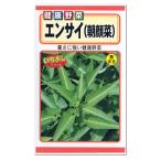 トーホク エンサイ 朝顔菜 種 クウシンサイ 空芯菜 家庭菜園 クウシンサイのタネ たね 夏野菜 種子