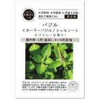 ホーリーバジル トゥルシー 種 A512  有機種子 固定種  グリーンフィールドプロジェクト ハーブ栽培 家庭菜園 オーガニック 有機栽培 しそ たね タネ