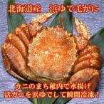  шерсть .. Hokkaido производство ...( рефрижератор )500g×1 хвост 