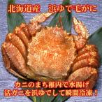 毛がに 北海道産　浜ゆで（冷凍）650g×1尾