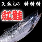  нерка 2.2kg передний и задний (до и после) [ Россия производство натуральный было использовано Special Special Special ]