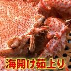 [ не рефрижератор * есть перевод ]..... шерсть ..1.4kg передний и задний (до и после) (2 из 5 хвост входить * север o сигнал tsuk производство )