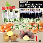 北海道産直品 A-19 剣淵