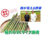 C-1 名寄市産：道北藤田生鮮オリジナル 露地栽培グリーンアスパラ 2Lサイズ・約1kg入・1箱 産地直送