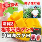  Hokkaido ... блок производство ферма People высшее холод .. манго .. озеро. . день прямая поставка от производителя 2L размер и больше *2 шар включая доставку 