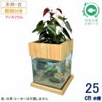 [ бесплатная доставка ]25cm type основной комплект ( серый )+ дерево рамка-оправа шт. + освещение есть / [TV. ознакомление ] вода взамен не необходимо аквариум комплект 14L 25cm.... биотоп золотая рыбка me Dakar NHK