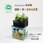 [ бесплатная доставка ]20cm type основной комплект ( чёрный ) / [TV. ознакомление ] вода взамен не необходимо аквариум комплект 7L 20cm.... биотоп золотая рыбка me Dakar NHK