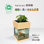 [ бесплатная доставка ]20cm type основной комплект ( чёрный )+ дерево рамка-оправа шт. / [TV. ознакомление ] вода взамен не необходимо аквариум комплект 7L 20cm.... биотоп золотая рыбка me Dakar NHK