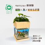 [ бесплатная доставка ]20cm type основной комплект ( чёрный )+ дерево рамка-оправа шт. + освещение есть / [TV. ознакомление ] вода взамен не необходимо аквариум комплект 7L 20cm.... биотоп золотая рыбка me Dakar NHK