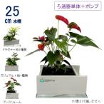 [ бесплатная доставка ]25cm type фильтрация оборудование одиночный & круговорот насос трубы комплект ( аквариум нет ) / [TV. ознакомление ] вода взамен не необходимо .... биотоп золотая рыбка me Dakar NHK