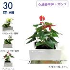 [ бесплатная доставка ]30cm type фильтрация оборудование одиночный товар & круговорот насос трубы комплект ( аквариум нет ) / [TV. ознакомление ] вода взамен не необходимо аквариум комплект 25L 30cm.... биотоп золотая рыбка me Dakar NHK
