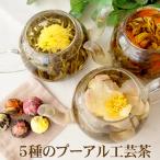 5種のプーアル工芸茶(