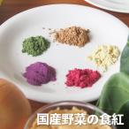 国産野菜の天然食紅 スティック 5色 野菜100% 天然色素 ビーツ 紫芋 万次郎かぼちゃ ほうれん草 玉ねぎ