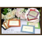 両面透明セル付き牛革定期入(単パスケース) 得トク0706