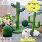  коготь .. кошка кактус коготь ... кошка tower башня для кошки компактный .... коготь точить кошка сопутствующие товары игрушка . починка 