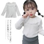 子供服 女の子 ビッグカラー フリル衿 長袖 カットソー Tシャツ 送料無料 キッズ ベビー服 ブラウス リブ 裏起毛 無地 73 80 90 100