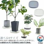  тележка с роликами . горшок шт. горшок тарелка . тарелка поддонник tray tray plate растение в горшке шт. посадочная машина декоративное растение растение в горшке цветочный горшок подставка легкий в использовании рекомендация 