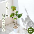 商品画像3