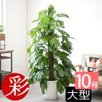 商品画像3