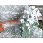  You коричневый белка. Cath ke-do букет комплект 