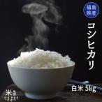 米 お米 米5kg コシヒカリ 白米5kg 令和6年度福島県産