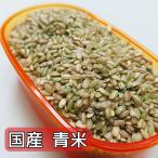 青米(くず米) 5kg 国産