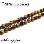 「1連15cm」イエロータイガーア...