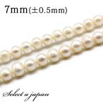 「1連 15cm」 淡水パール 7mm 真珠 パール バラ売り 連売り ビーズ 穴あき ばら売り