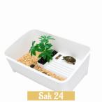  черепаха. аквариум черепаха аквариум черепаха садок для разведения черепаха аквариум черепаха bok старт ru бак цельный формирование город Хюга ... шт. лестница корм тарелка DIY угол большой большой средний размер 