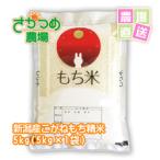 もち米　こがねもち　5kg　5kg袋　令和4年新潟産　精米