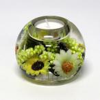 ドリームライト サンフラワー CDD1933 マーキュリー9×8　ロウソク 線香 ギフト 送料無料  ...