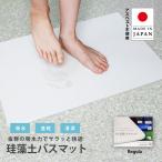 父の日 フジワラ化学 珪藻土 バスマット 洗える 水で洗える NEW足乾バスマット 日本製 アスベスト検査済 速乾 おしゃれ シンプル プレゼント おすすめ