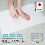 父の日 フジワラ化学 珪藻土 バスマット 洗える 水で洗える NEW足乾バスマットミニ 日本製 Made in Japan アスベスト検査済 速乾 吸水 プレゼント おすすめ