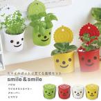  культивирование комплект культивирование комплект . новый керамика GD-600 Smile & Smile 4 вид из выбор .. подарок рекомендация 