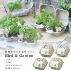  культивирование комплект культивирование комплект . новый керамика GD-755 bird & сад 4 вид из выбор .. подарок рекомендация 